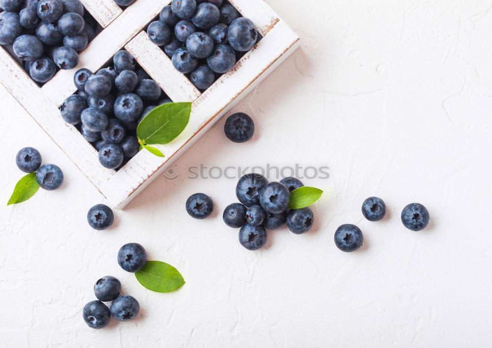 Similar – blueberries II Blueberry