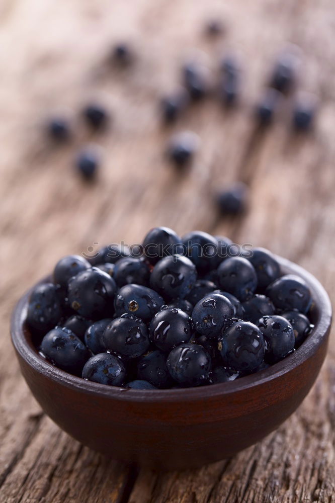 Similar – Image, Stock Photo Freshly gathered blueberries put into ceramic bowl