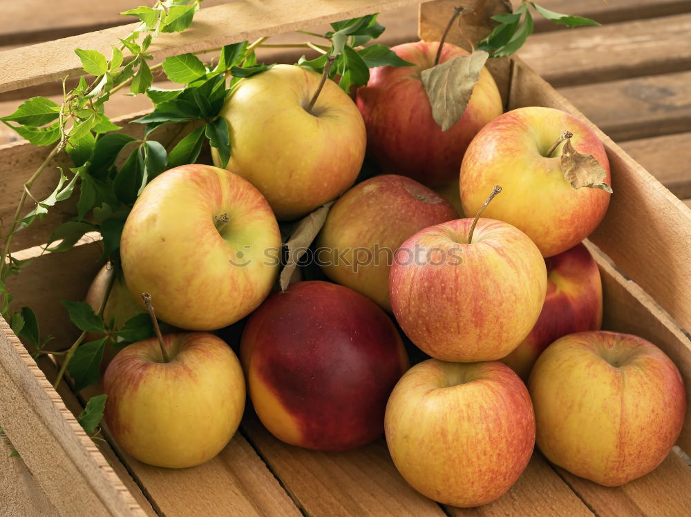 Similar – Image, Stock Photo Apples Diet Summer Garden