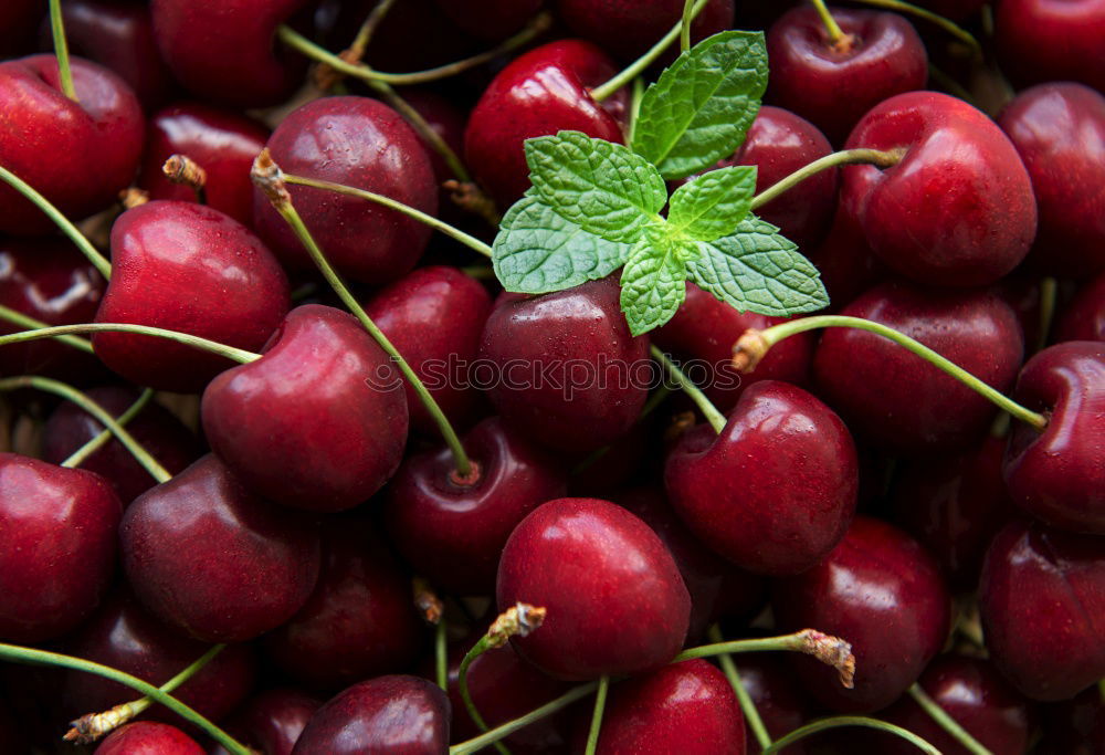 Image, Stock Photo Radish on dark background