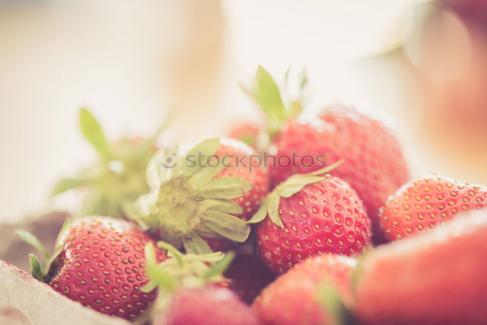 Similar – Strawberry cup forever!