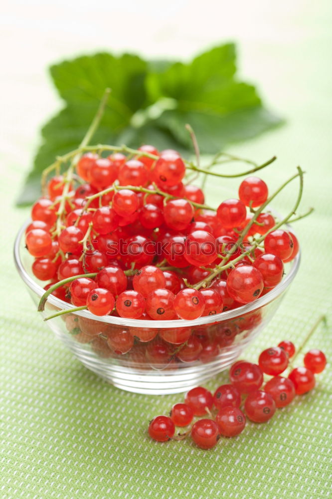 Image, Stock Photo currants Food Fruit Jam