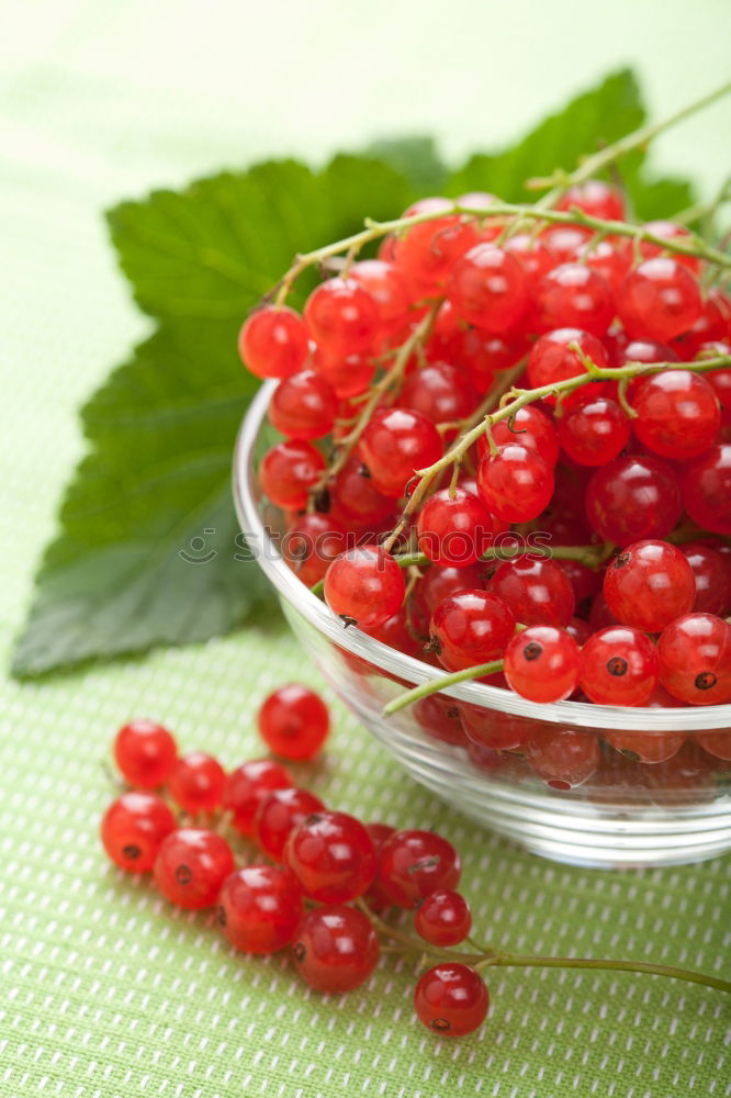 Similar – Image, Stock Photo currants Food Fruit Jam