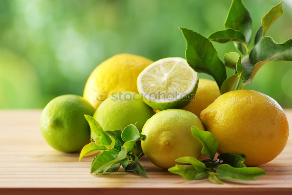 Similar – Image, Stock Photo ripe yellow lemons and lime, mint green