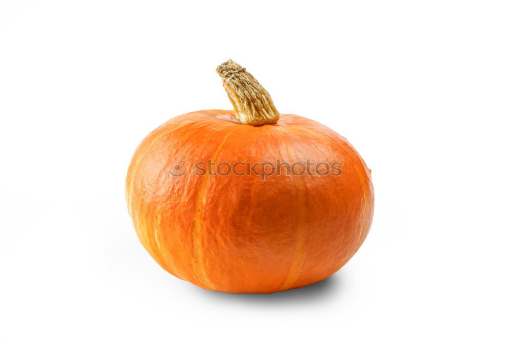 Similar – Image, Stock Photo Pumpkin stack on white