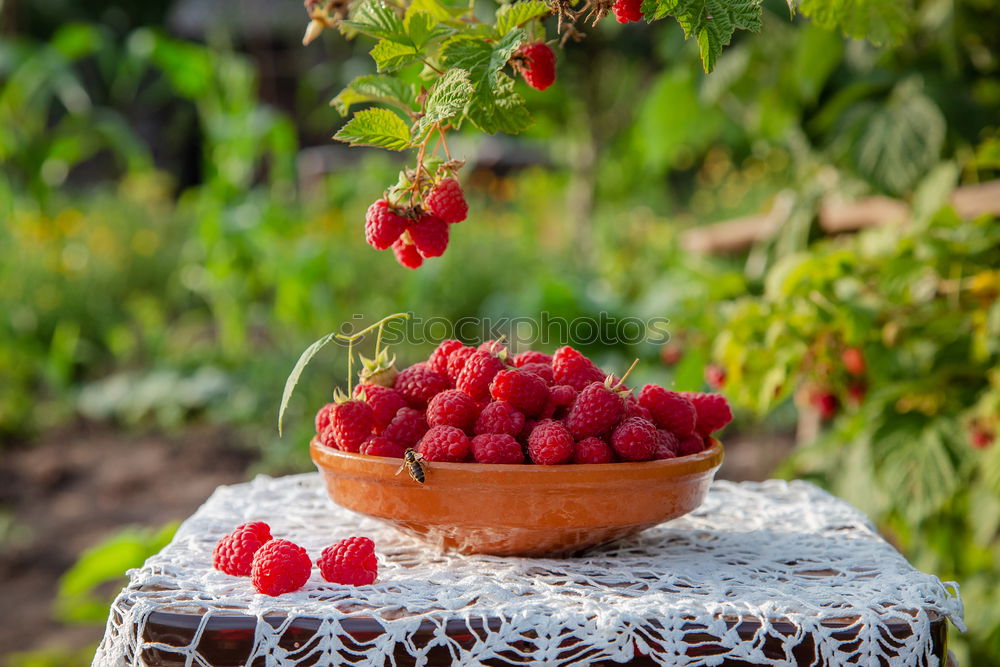 raspberries Nutrition