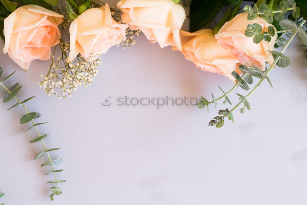 Female hand with roses bouquet of flowers