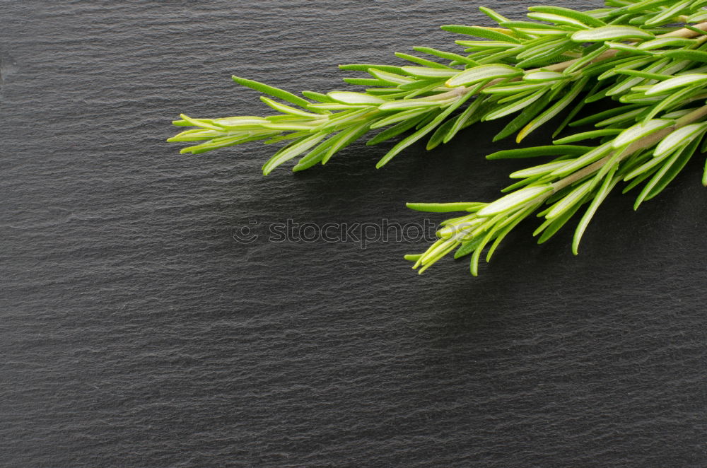 Similar – Image, Stock Photo Asparagus yellow collar on the kitchen table