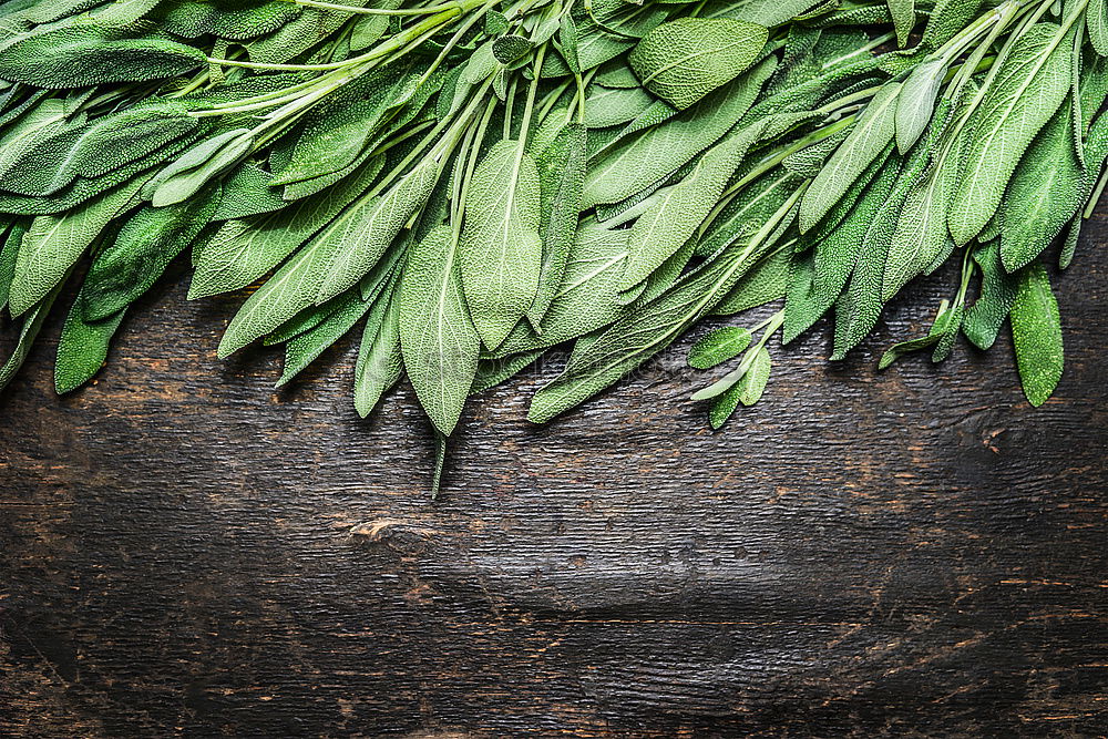 Image, Stock Photo Fresh sage leaves Food
