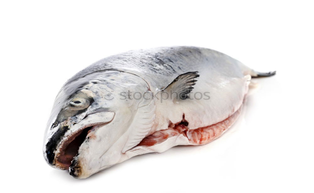 Similar – Image, Stock Photo Fillet charcoal in Alt