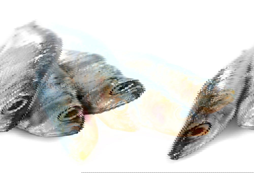 Similar – Image, Stock Photo Raw fish wrapped in paper