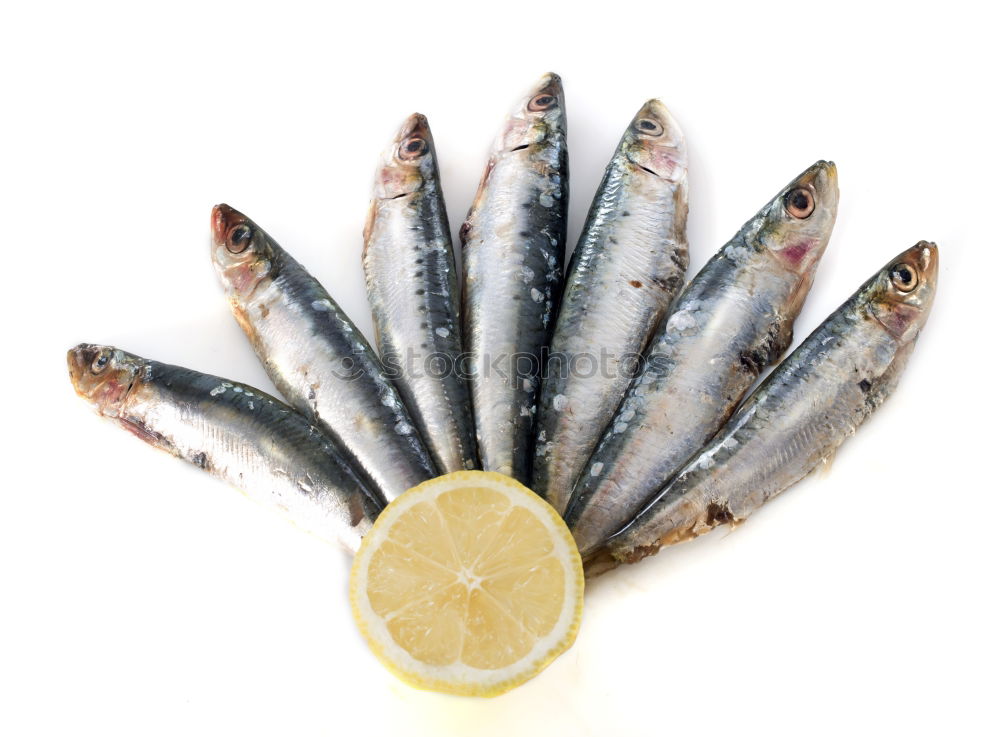 Similar – Prepare fresh fish with lemon and oil