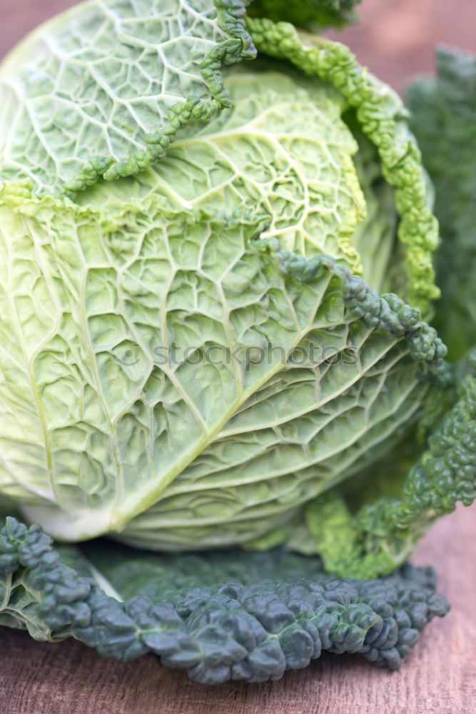 Image, Stock Photo savoy cabbage Food