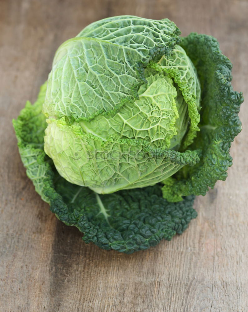 Similar – Image, Stock Photo savoy cabbage Food