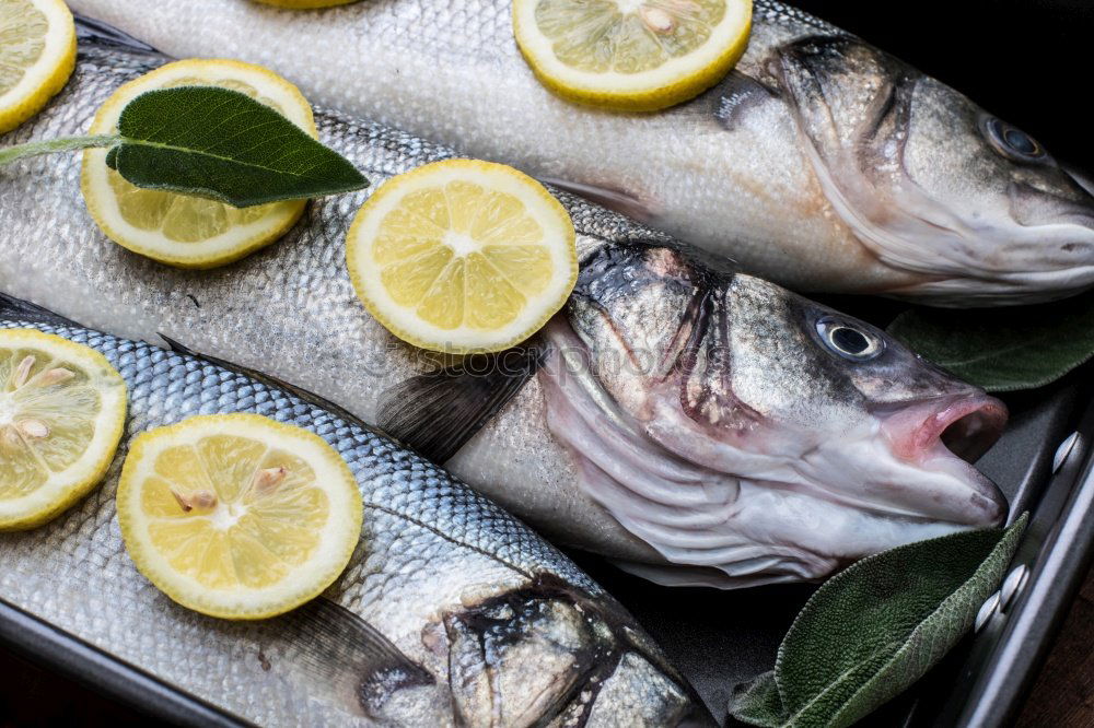 Similar – Fish fillet preparation on the baking tray