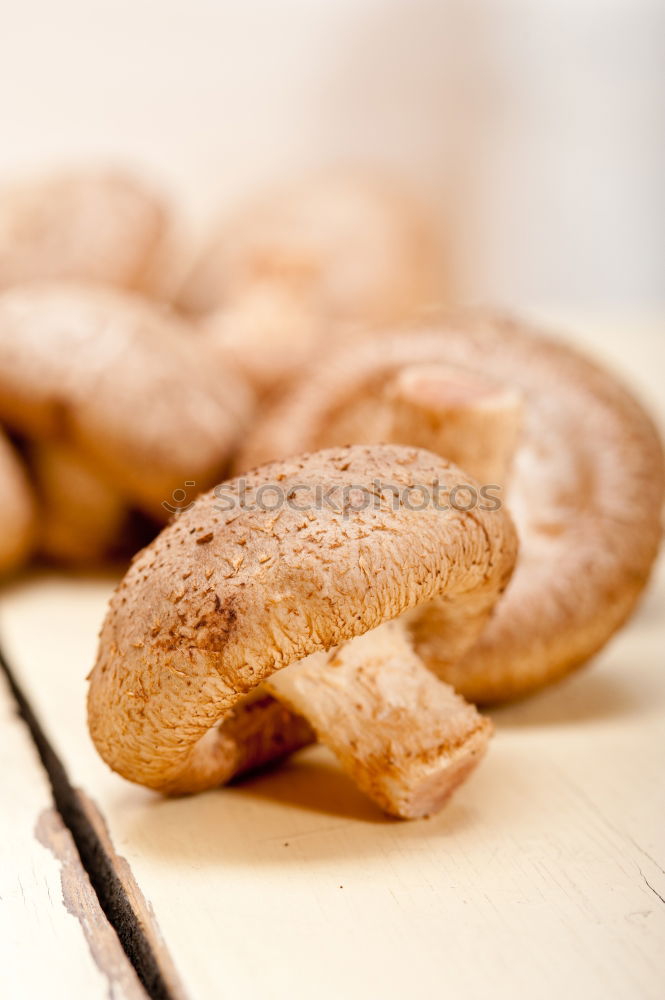 Similar – Italian Amaretti Biscuits In White Bowl