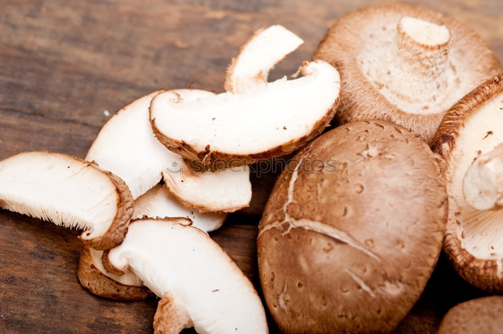 Similar – Image, Stock Photo mushroom loon Food