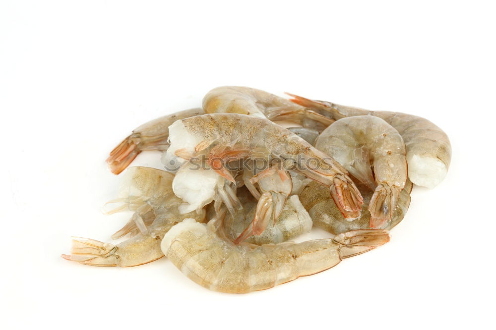 Similar – Image, Stock Photo Hermit crab in the sand