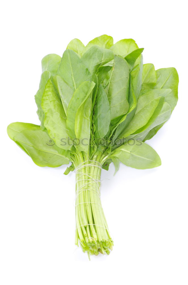 Similar – Baby Pak Choi cabbage on white wooden table