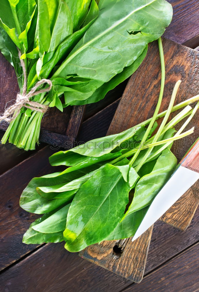 Similar – Image, Stock Photo Fresh sage leaves Food