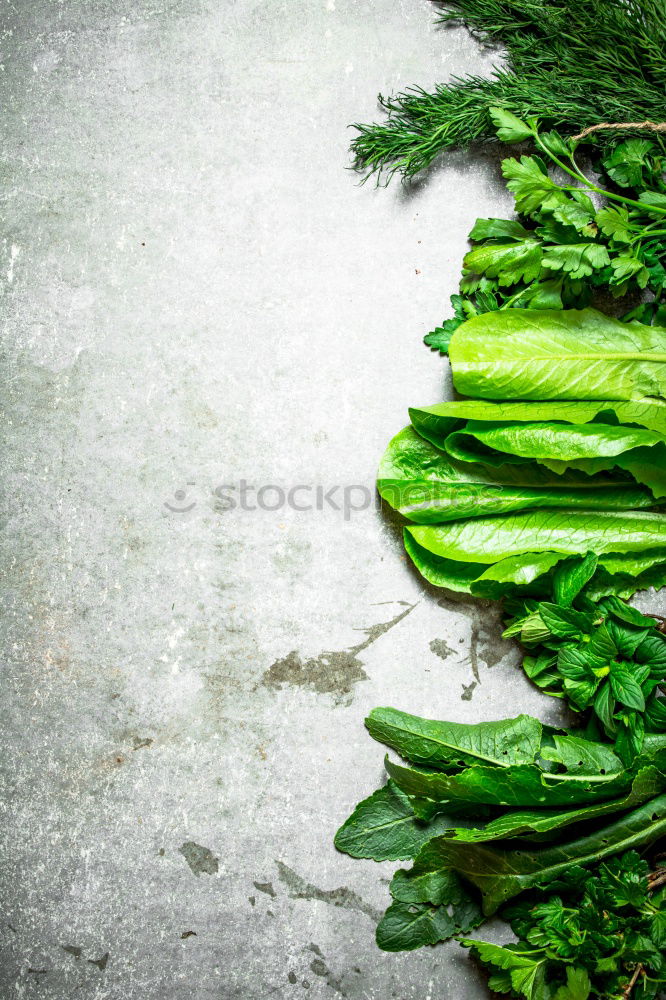 Pickled cucumbers made of home garden vegetables and herbs