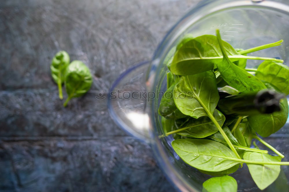 Similar – nettle tea Food