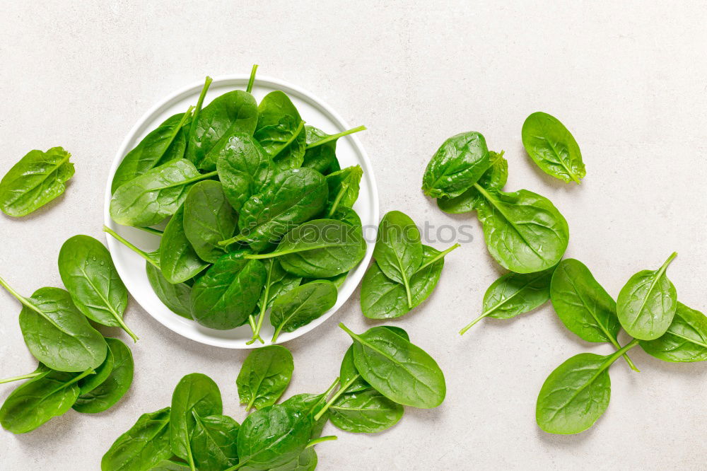 Similar – Image, Stock Photo basil Food