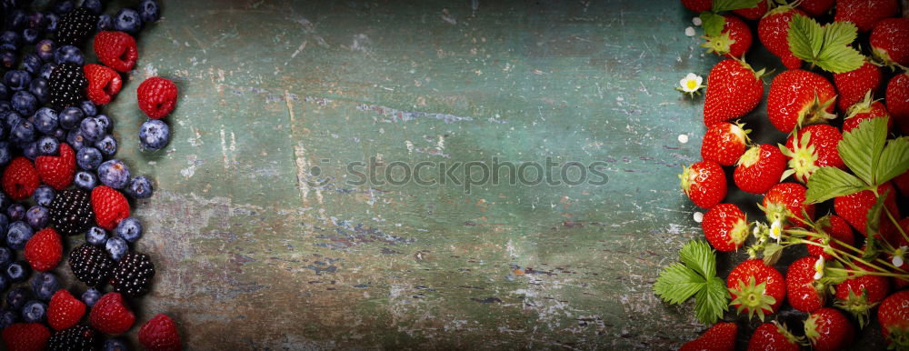 Similar – Image, Stock Photo trash cans Gardening