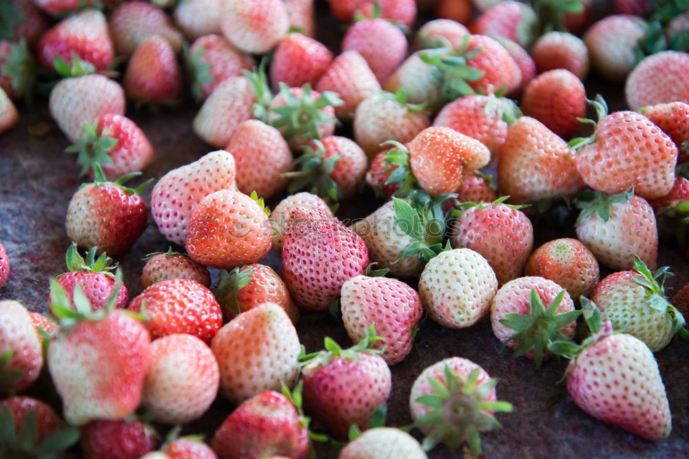 Similar – Image, Stock Photo frozen raspberries and blackberries