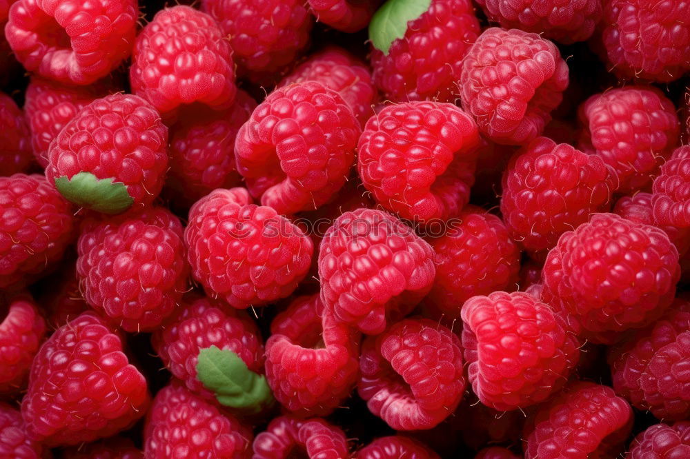 Similar – Image, Stock Photo Red Raspberry Fruits Food