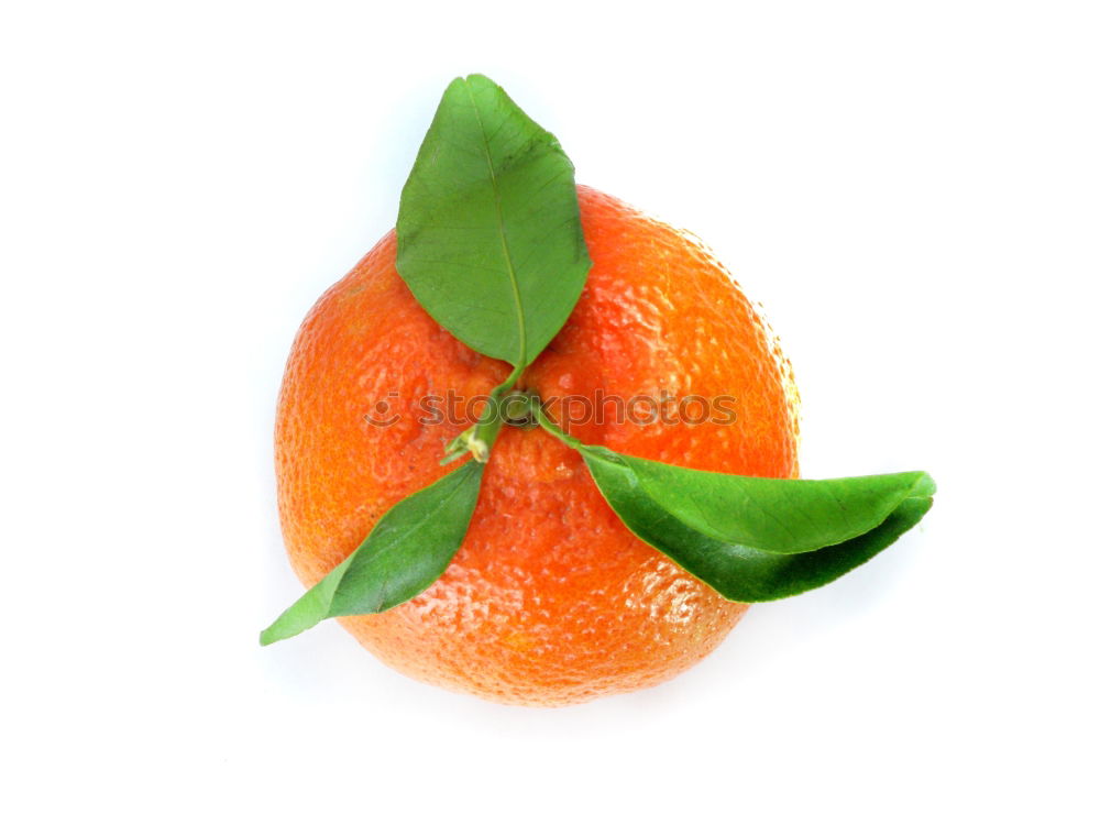 Similar – Image, Stock Photo Orange with leaf Fruit