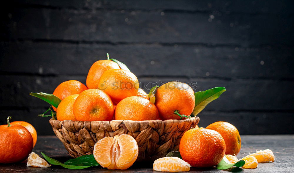 Similar – Orange tree Plant Tree