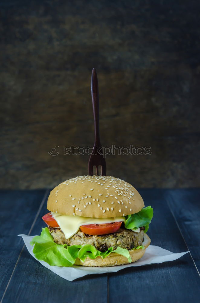 Similar – Image, Stock Photo three hamburgers with vegetables