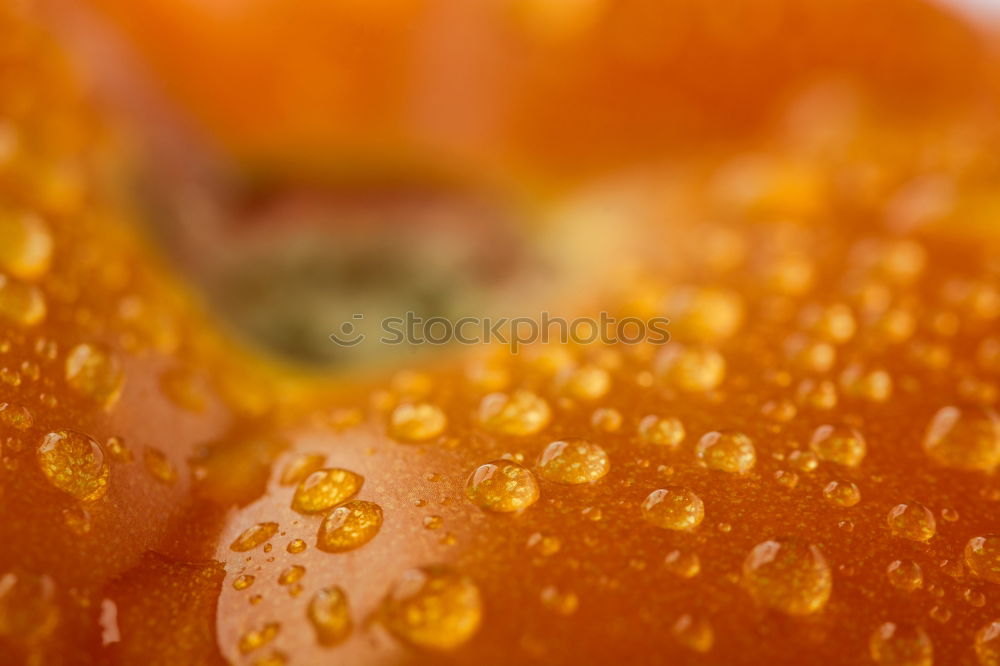 Similar – Image, Stock Photo orange case Orange