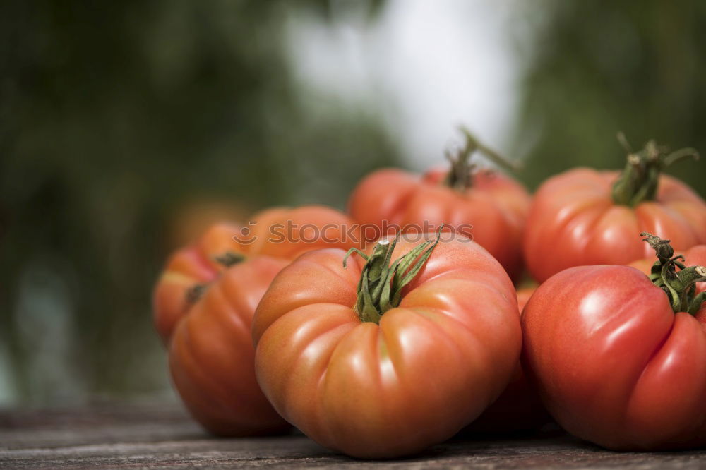 Similar – Image, Stock Photo Tomatoes Vegetable Fruit