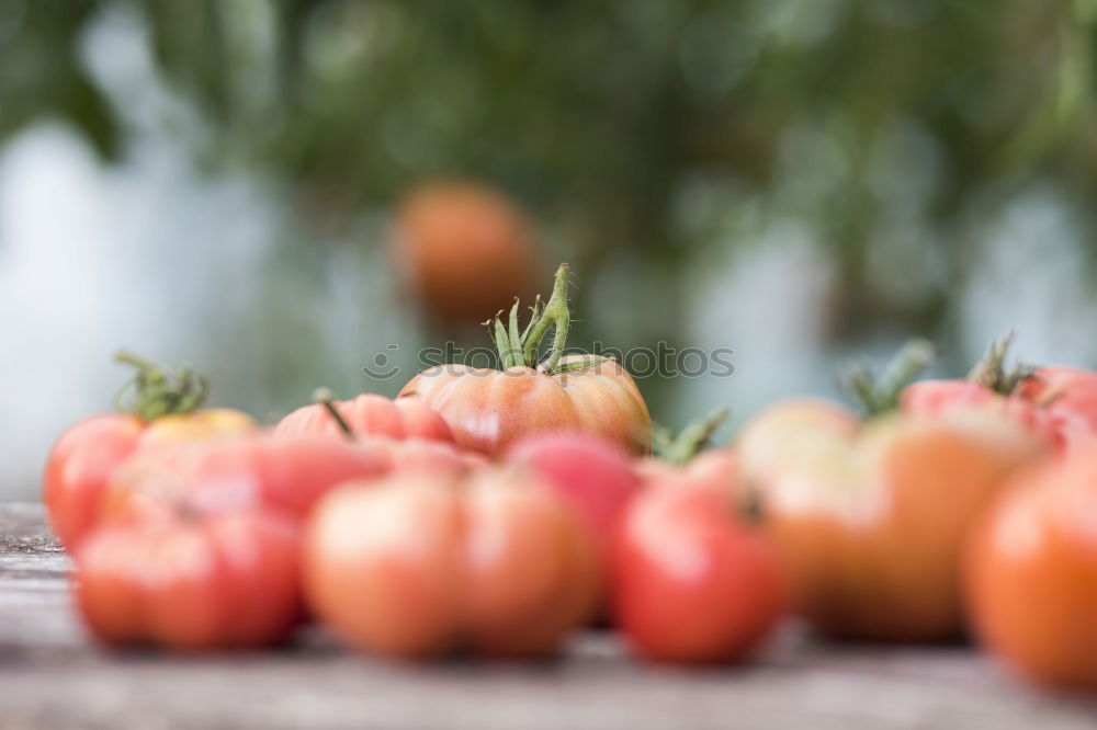 Similar – Chinese Fruit Market