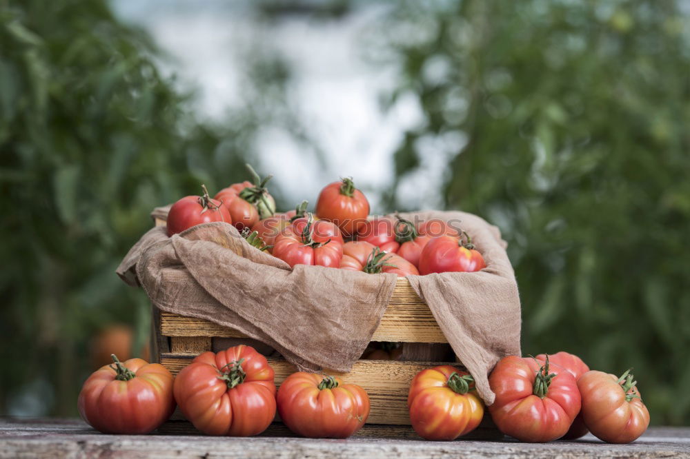 Similar – Image, Stock Photo weekly market Food