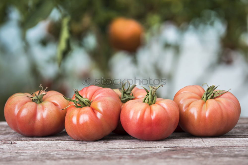 Similar – Image, Stock Photo Tomatoes Vegetable Fruit