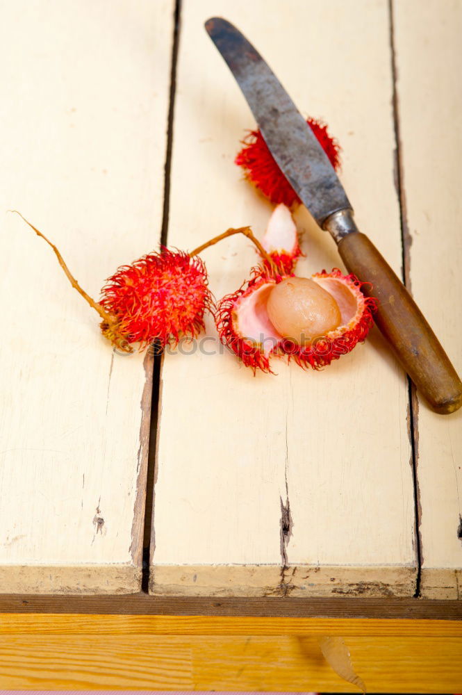 Similar – Old hammer on wooden background