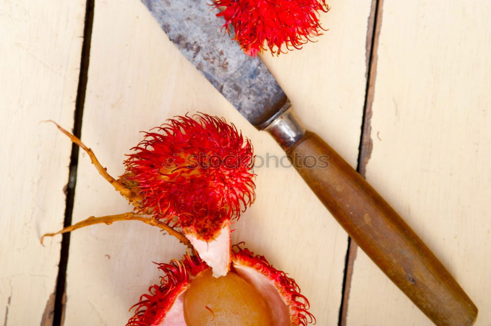 Similar – Pomegranate on wooden table