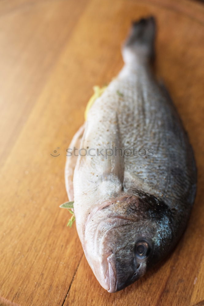 Similar – Image, Stock Photo Freshly caught Food Fish