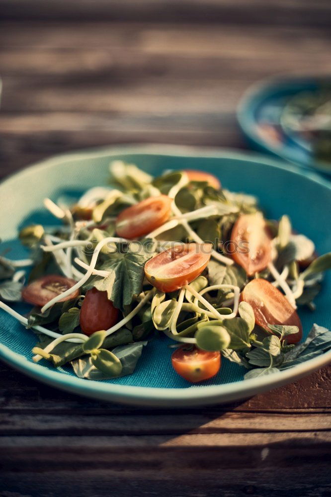 Healthy green salad with dressing on dark background