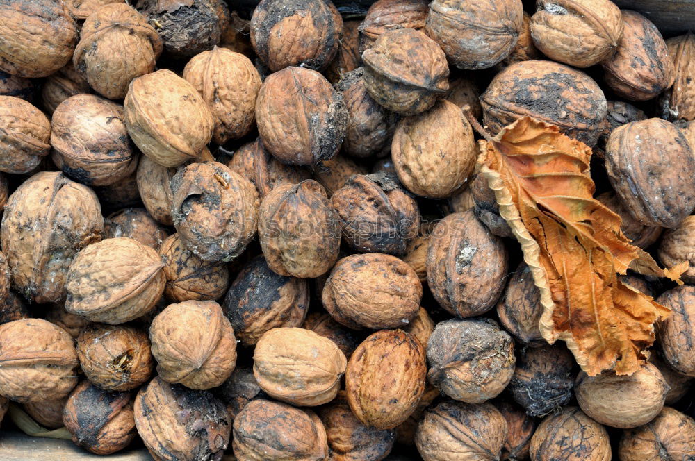 Similar – nuts Food Nut Walnut