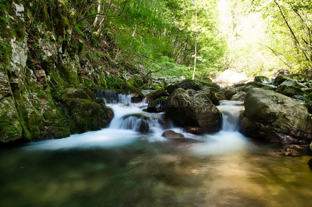 Similar – Unten am Fluss III Wasser