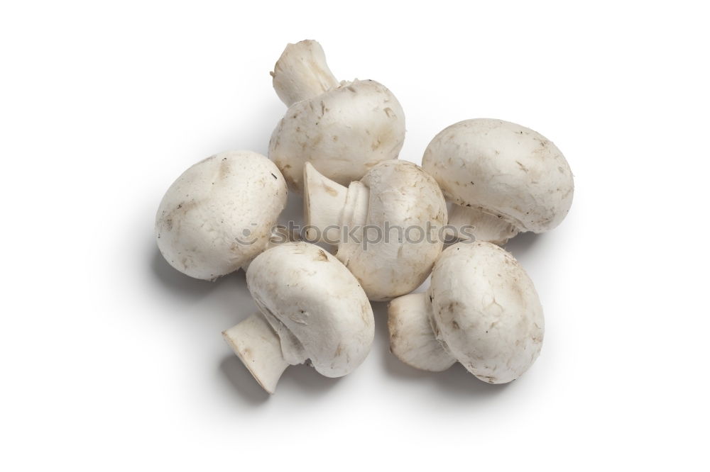 Similar – Image, Stock Photo Champignon Mushrooms on an old wooden table