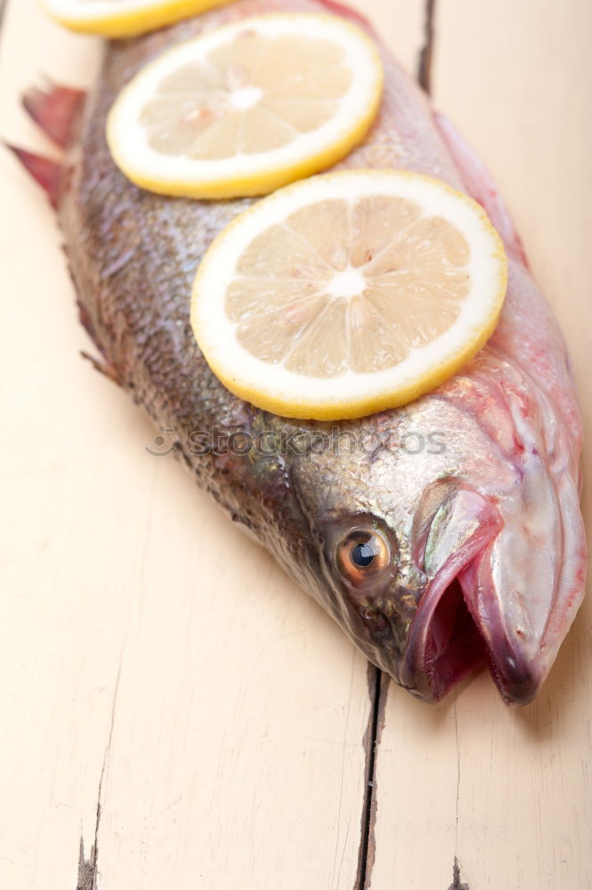 Similar – Rainbow trout head with spices