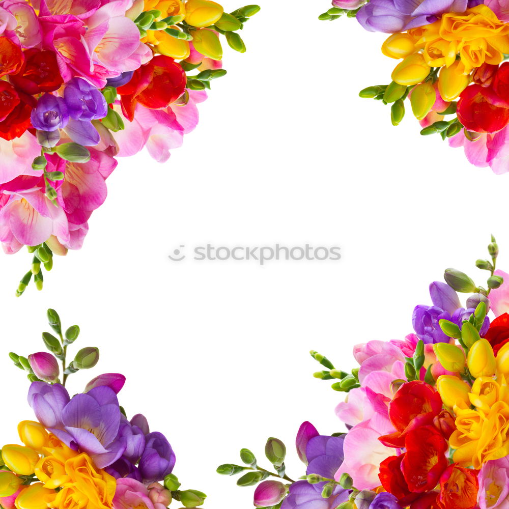 Similar – flower wreath Nature Plant