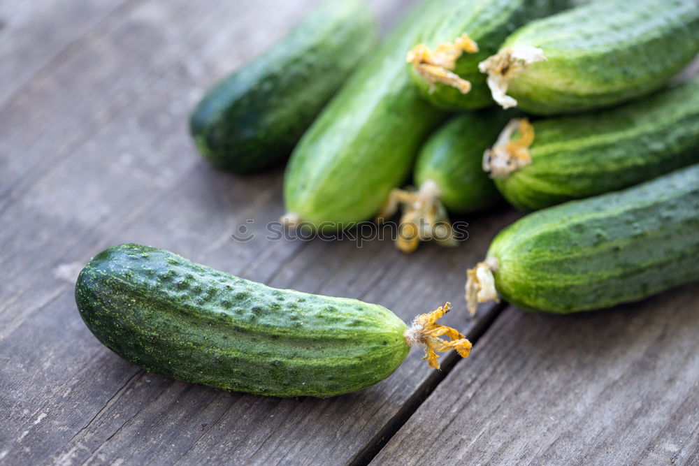 Similar – Image, Stock Photo Preparing ingredients for pickling cucumbers