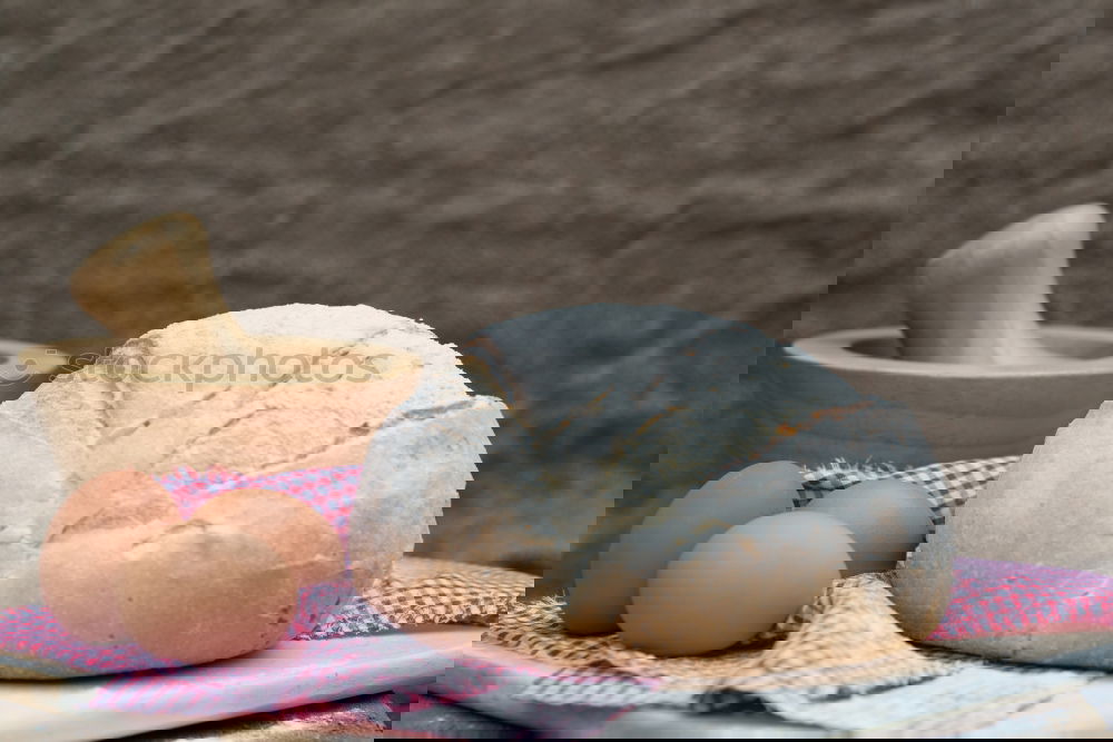 Similar – Image, Stock Photo Crispbread with cream cheese, egg and radish