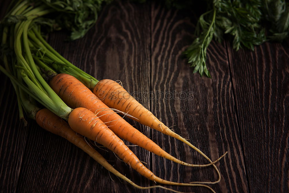 Similar – Two large ripe carrots lie in female hands